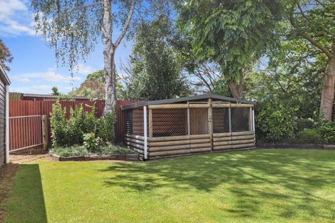 Photo of property in 17 Strathmore Street, Morrinsville, 3300