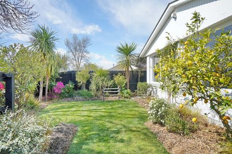 Photo of property in 17 Saffron Street, Bryndwr, Christchurch, 8053