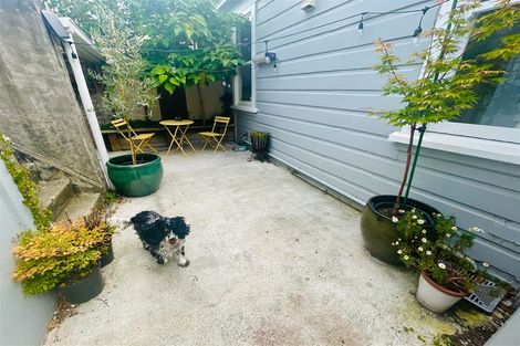 Photo of property in 6 Jeypore Street, Berhampore, Wellington, 6023