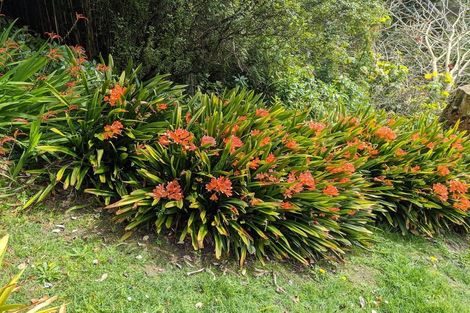 Photo of property in 90 Exmouth Road, Northcote, Auckland, 0627