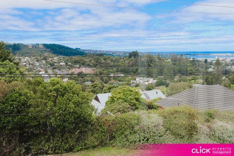 Photo of property in 29 Barclay Street, North East Valley, Dunedin, 9010