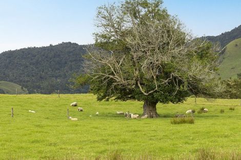 Photo of property in 73 Takahue Saddle Road, Takahue, Kaitaia, 0481