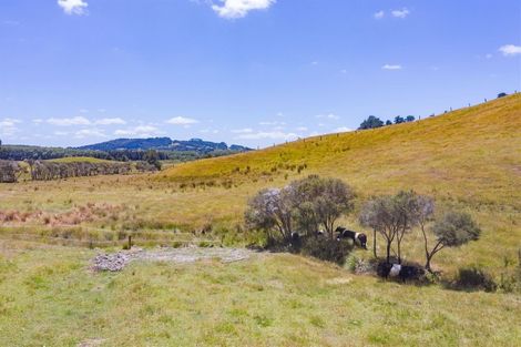 Photo of property in 113c Marua Road, Hikurangi, 0181