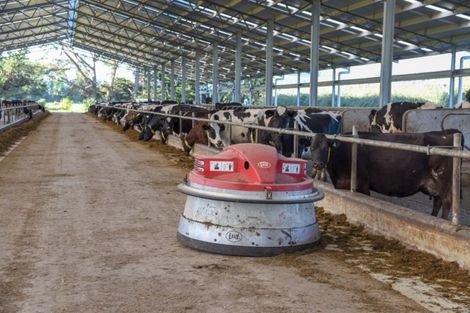 Photo of property in 939 Hudsons Road, Motukarara, Tai Tapu, 7674