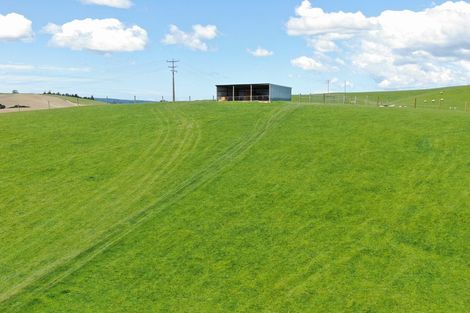 Photo of property in 7 Clarks Flat Road, Lawrence, 9593