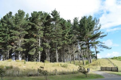 Photo of property in 101 Emma Drive, Manakau, 5573