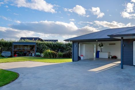 Photo of property in 196 Gaddums Hill Road, Outer Kaiti, Gisborne, 4010