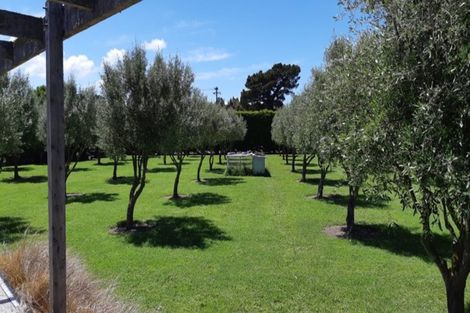 Photo of property in 31 Todds Road, Martinborough, 5711