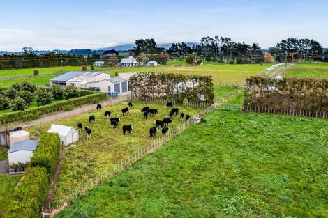 Photo of property in 112b Princess Street, Waitara, 4383