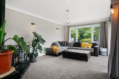 Photo of property in 36 Jellicoe Road, Matamata, 3400