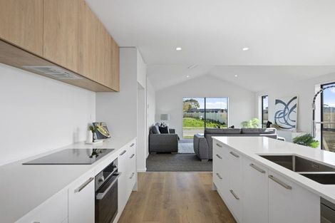 Photo of property in 47 Fairmaid Street, Lincoln, 7608