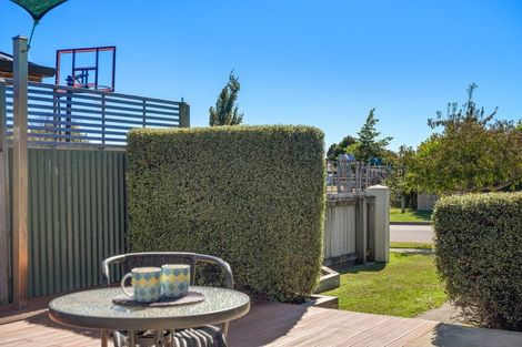 Photo of property in 8 Lester Place, Witherlea, Blenheim, 7201