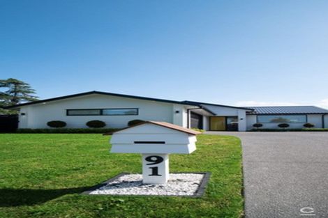 Photo of property in 91 Carmichael Road, Bethlehem, Tauranga, 3110