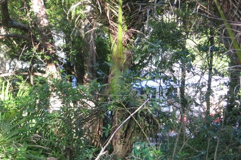 Photo of property in 82 Laingholm Drive, Laingholm, Auckland, 0604