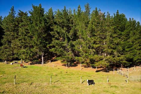 Photo of property in 8p Davaar Road, Greta Valley, 7387