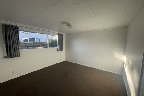Photo of property in 53a Helena Street, Forbury, Dunedin, 9012