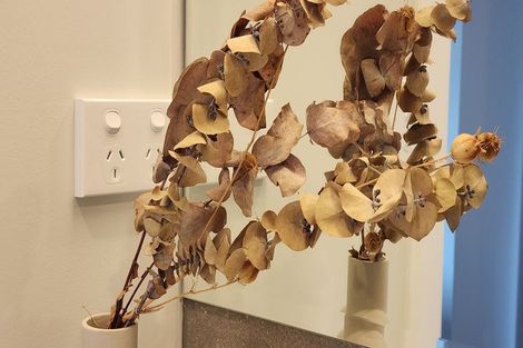 Photo of property in 24c Hayes Avenue, Gate Pa, Tauranga, 3112