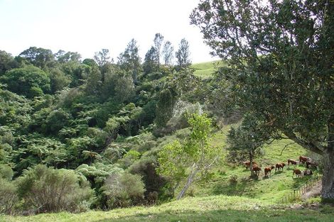 Photo of property in 195 Paparoa Road, Wainui, Opotiki, 3198
