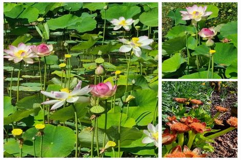 Photo of property in 128e Mauku Road, Patumahoe, Pukekohe, 2678