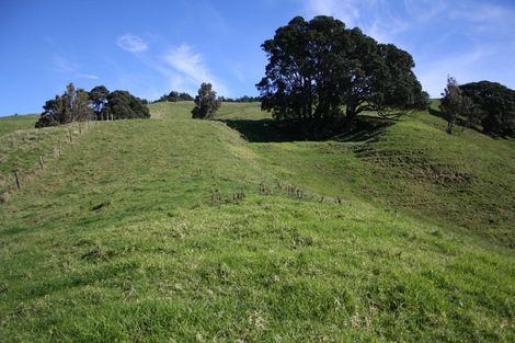 Photo of property in 341 Onemana Drive, Onemana, Whangamata, 3691