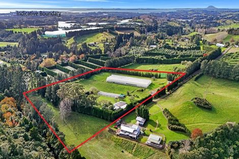 Photo of property in 484c Wright Road, Aongatete, 3181