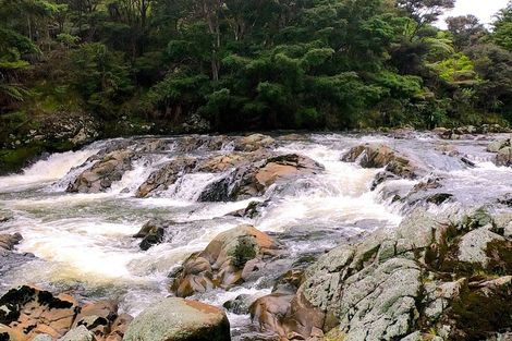 Photo of property in 317 Sawyer Road, Mangonui, 0494