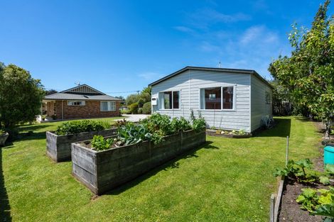 Photo of property in 3 Beach Street, Waikouaiti, 9510