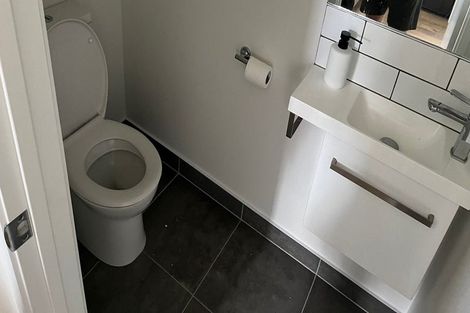 Photo of property in 9 Marsics Street, Glen Innes, Auckland, 1072