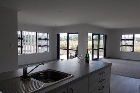 Photo of property in 19 Gibboney Place, Pokeno, 2402