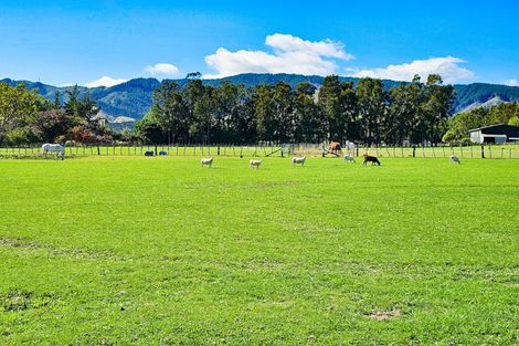 Photo of property in 156 Arapaepae Road, Levin, 5510