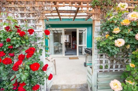 Photo of property in 23 Campbell Street, Alexandra, 9320