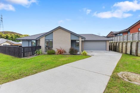 Photo of property in 170 Adler Drive, Ohauiti, Tauranga, 3112