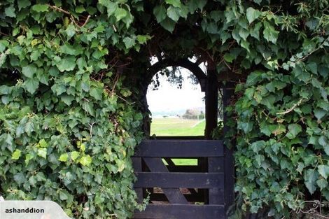 Photo of property in 762 Mangaorongo Road, Otorohanga, 3972