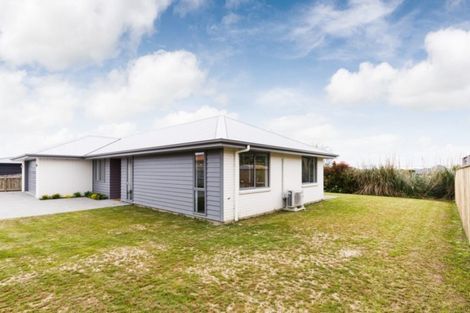Photo of property in 25 Barry Curtis Place, Levin, 5510