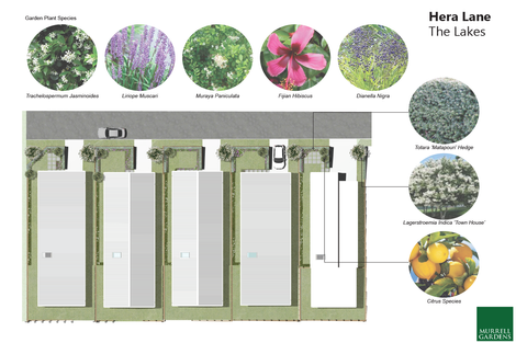 Photo of property in 4 Hera Lane, Pyes Pa, Tauranga, 3112