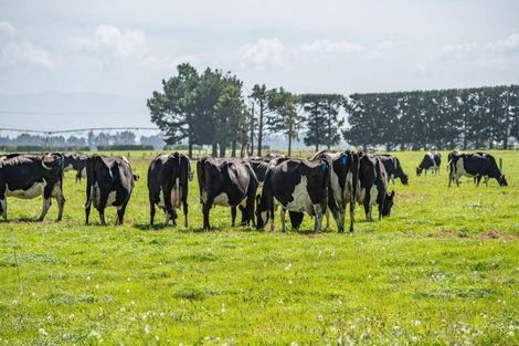 Photo of property in 282 Sharlands Road, Dunsandel, Rakaia, 7783