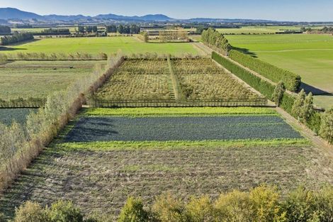 Photo of property in 581 Pesters Road, West Eyreton, 7475