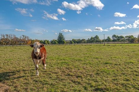 Photo of property in 840 Makerua Road, Tokomaru, Palmerston North, 4474