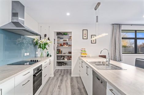 Photo of property in 51 Perriam Place, Mount Pisa, Cromwell, 9383