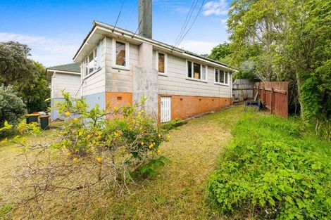 Photo of property in 25 Hutchinson Avenue, New Lynn, Auckland, 0600