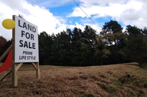 Photo of property in 9 Slowater Lane, Puhoi, Warkworth, 0994