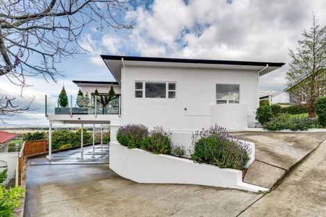 Photo of property in 14 Havelock Road, Hospital Hill, Napier, 4110