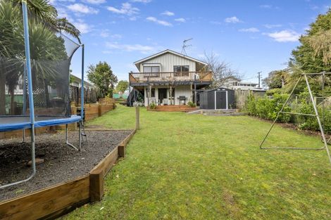 Photo of property in 18a Antonio Street, Stratford, 4332