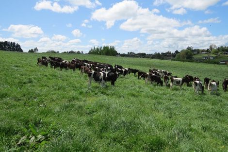 Photo of property in 58 Ryburn Road, Ohaupo, 3883