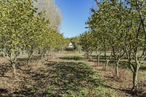 Photo of property in 76 Tuahiwi Road, Tuahiwi, Kaiapoi, 7691