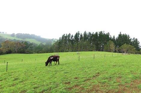 Photo of property in 37 Donnellys Station Road, Donnellys Crossing, Dargaville, 0379