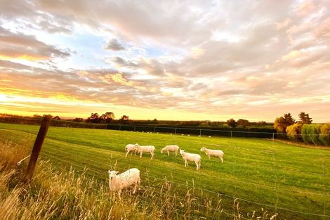 Photo of property in 21 Crallans Drain Road, Oxford, 7495