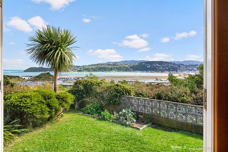 Photo of property in 46 Raukawa Street, Strathmore Park, Wellington, 6022