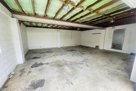 Photo of property in 40 Alison Street, Hamilton Lake, Hamilton, 3204