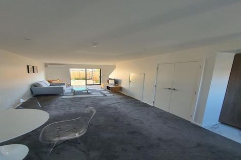 Photo of property in 17 Bings Lane, Richmond, Christchurch, 8013